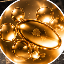 Vitamina E